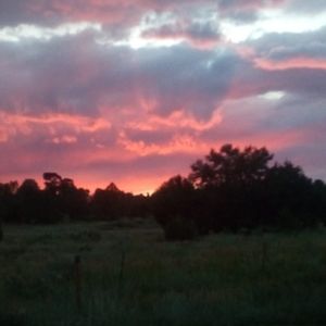 Meet your Posher, Delyssa